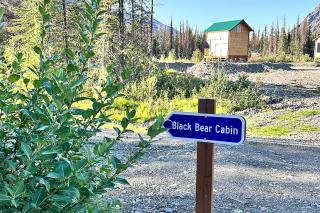 Romantic Lakefront Cabin with Mountain Views, Perfect for a Trip to Cantwell, Alaska - 4