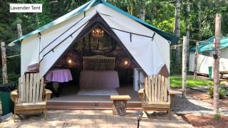 Lovely Glamping Tents for Romantic Weekends in Nature in Washington - 4