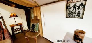 Lovely Glamping Tents for Romantic Weekends in Nature in Washington - 1