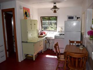 Romantic Hideaway Cottage on Clear Creek in Georgetown, Colorado - 8