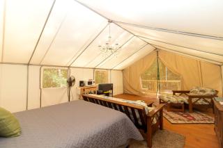 Charming Copperhill Accommodation Ideal for Glamping in Tennessee - 8