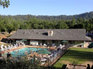 Affordable Vacation Cabin Rentals with Shared Pool near Yosemite National Park - 1