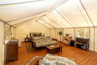 Charming Copperhill Accommodation Ideal for Glamping in Tennessee - 5