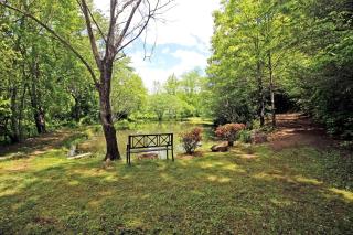 Charming Copperhill Accommodation Ideal for Glamping in Tennessee - 6