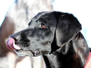 Riverfront Cabin Rental for Four near Crater Lake National Forest, Oregon - Chiloquin - 2