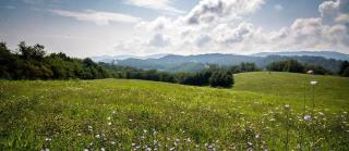 Romantic and Comfortable Suite for a Getaway to Sparta, North Carolina - 3