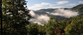 Cozy Cottage with a Jacuzzi in the Snowbird Mountain Range with Views of Lake Santeetlah, North Carolina - 4