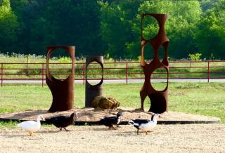 Peaceful Texas Cottage Rental near Austin - 4