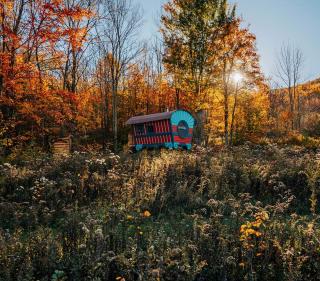 Off-Grid Rustic Glamping Experience Ideal to Reconnect in NY - 7