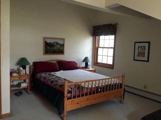 Gorgeous Eco-Friendly Cottage Rental with a Gazebo in Jamaica, Vermont - 7