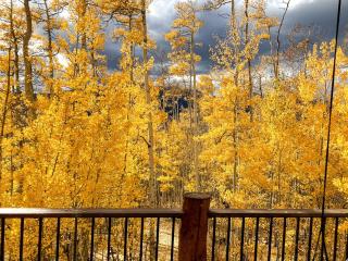 Charming Vacation Rental in the Heart of South Park near Fairplay, Colorado - 2