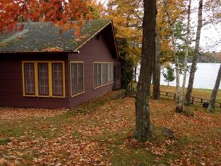 Enchanting Woodland Cabin Rental with Lake Views in Eagle River, Wisconsin - 6