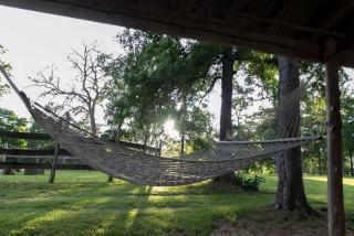 Charming Couples' Bell Tent Rental with Air Conditioning in Texas Hill Country - Utley - 6