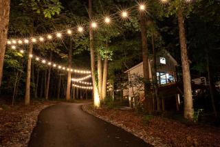 Amzing Tree House Perfect for Secluded Getwy in Albm - 2