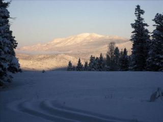 Beautiful Ski-In/Ski-Out Vacation Rental with Hot Tub in Angel Fire, New Mexico - 1