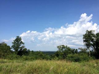 Pet-Friendly Log Cabin with an Outdoor Pool near Crofton, Kentucky - 3