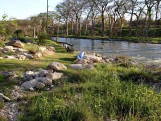 Excellent Riverfront Family Cabin Rental with Hot Tub in Wimberley, Texas - 3