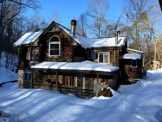 Secluded Cabin Close to the Shenandoah River in Shenandoah, Virginia - 1