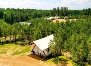 Entire Safari Tents Campground Ideal for Large Groups in Kentucky - 2