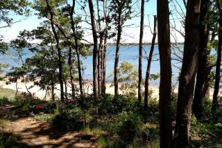 Pondside Vacation Rental with Deck and Private Beach Access in Cape Cod, Massachusetts - 1