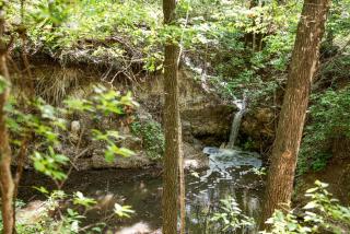 Unique Four-Person Luxury Tent with a Waterfall near Fort Worth, Texas - 4