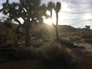 Romantic Yucca Valley Accommodation Perfect for Luxury Camping in California - 1