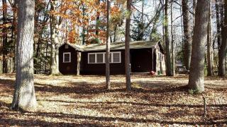 Gorgeous Getaway Cabin in the Woods near Lake Michigan in Wellston, Michigan - 0