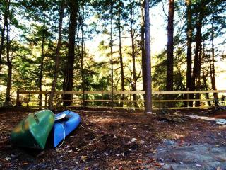 Rustic Woodland Cabin Rental near Oneida Lake, New York - 6