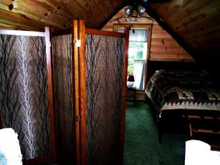 Rustic Woodland Cabin Rental near Oneida Lake, New York - 3