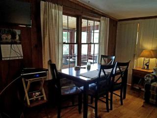 Lovely Lakeside Cabin Rental near Pharaoh Lake Wilderness Area in New York - 3