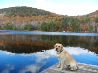 Lovely Lakeside Cabin Rental near Pharaoh Lake Wilderness Area in New York - 9