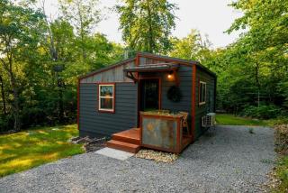 Off-Grid Cabin Surrounded by Trees in Pineville, Missouri - 0