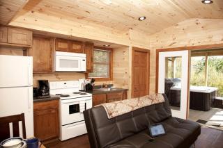 Fabulous Cabin with Hot-tub in Herod, Illinois - 4