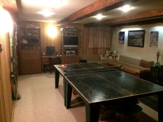 Spacious Mountain Cabin with a Sauna and Ski Trails in Jamaica, Vermont - 8