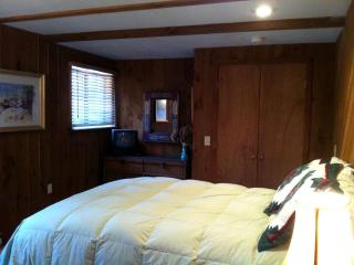 Spacious Mountain Cabin with a Sauna and Ski Trails in Jamaica, Vermont - 7