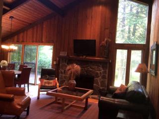 Spacious Mountain Cabin with a Sauna and Ski Trails in Jamaica, Vermont - 2