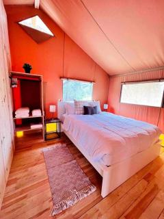 Outstanding Safari Tent with Jacuzzi and and Beautiful Outdoor and Indoor Living in Florida - 1