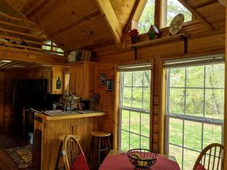 Rustic Cabin Rental near Asheville Perfect for a Weekend Getaway on Tuckasegee River - 4