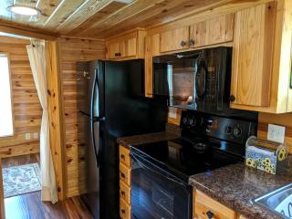 Rustic Cabin Rental near Asheville Perfect for a Weekend Getaway on Tuckasegee River - 3