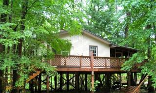 Peaceful Pet-Friendly Cabin Rental on St. Marks River near Tallahassee, Florida - 3