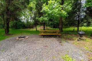Beautiful Cabin with Hot-tub in Herod, Illinois - 3