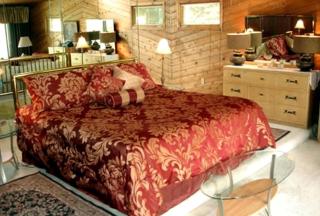 Riverfront Cabin Rental with a Private Hot Tub in Saugatuck, Michigan - 6
