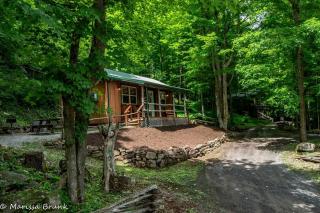 Treehouse Cabin in Riverton, WV -  - 6