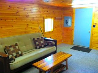 Rustic and Cozy Cabin Rental near Cherry Springs State Park, Pennsylvania - 8