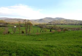 Deluxe Glamping Cabins at River Farm in Virginia - 2