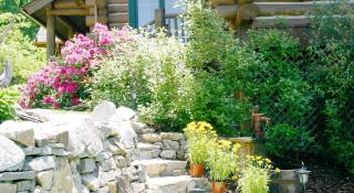 Romantic Vacation Getaway in a Hillside Lodge near Asheville in Leicester, North Carolina - 3