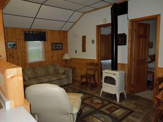 Lakeside Cabin Rental with a Boat Dock in Pine River, Minnesota - 9