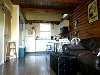 Rustic Cabin Rental near the Ski Slopes in Snowshoe, West Virginia - 5