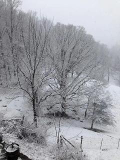 Deluxe Bed and Breakfast Getaway in the Great Smoky Mountains near Leicester, North Carolina - 2