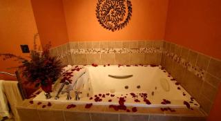 Deluxe Bed and Breakfast Getaway in the Great Smoky Mountains near Leicester, North Carolina - 5
